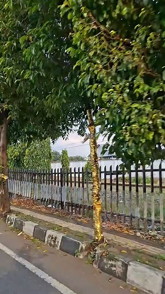 Samsung Galaxy A56 5G Video Test at 1080 60fps