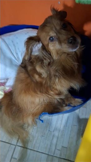 fear of fireworks #batman #jacob