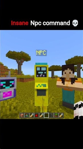 Minecraft Npc command moment 💀