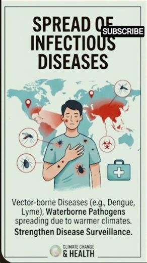 Climate Change → Migration → Health Crisis ⚠️ Explained