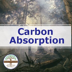 Carbon Absorption | Video Lesson, Handout, Worksheets | Environment & Earth