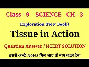 tissue in action class 9 ncert solutions | tissue in action question answer