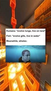 Funny Fish Memes That'll Hook You Instantly...