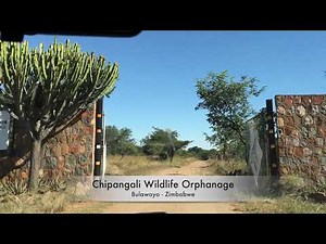 Chipangali Wildlife Orphanage
