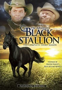 The Adventures of the Black Stallion - Alchetron, the free social encyclopedia