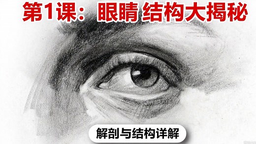 【Proko五官系列 01】眼睛结构讲解 拯救手残党！8分钟彻底搞懂眼睛结构，一看就会！