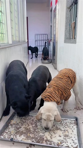 វីដេអូ​របស់ 2002 (@leevea_2002) ជាមួយ original sound - 2002