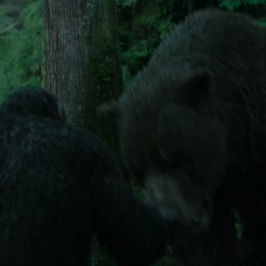 Koba with the legendary save #koba #planetoftheapes #apes #fyp #fy #viral #dontletthisflop