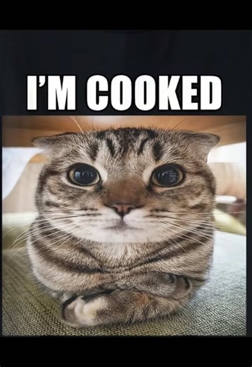 Testing Emojis and User Tags