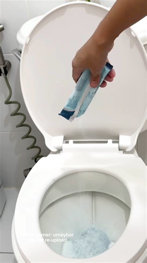 Effective Toilet Bowl Cleaning Tips