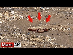 Perseverance Rover Latest Images SOL 1574 | Mars Planet Real Video | Mars In 4K | Mars Rover Footage