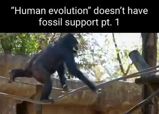 "Human evolution' doesn't have fossil support pt. - iFunny