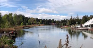 74K views · 1.7K reactions | Here are 28 seconds of calm... Taken at Whinfell Forest's lake  The forest is waiting... | Center Parcs UK | Facebook