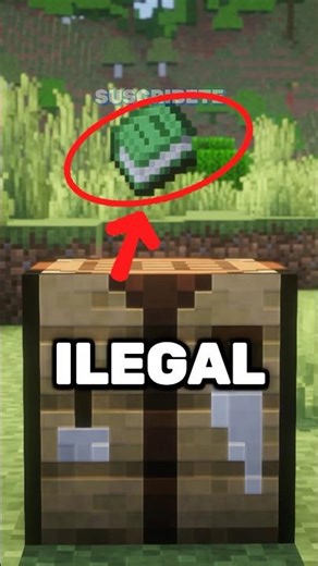 The hidden item "Knowledge Book" and its secret function #Shorts #minecraft