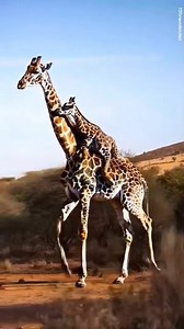 Marvelous Nature | Travel magazine