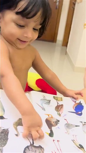 Duck and kaakka 😝Athena learning video #birds #toddlers