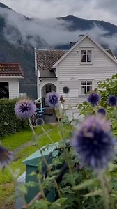 Hanen Hanen on Reels