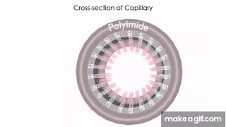 Capillary Electrophoresis on Make a GIF