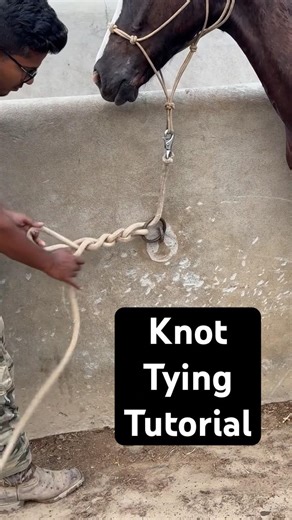 Subscribe for more tips👇🏻Chain Horse Tying Knot Tutorial