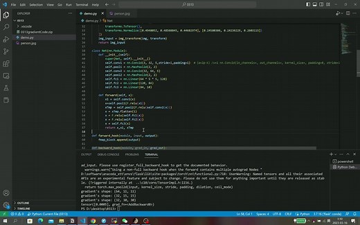 如何用torch获得反传每层梯度以及指定某层梯度后继续反传（和grad cam类似）