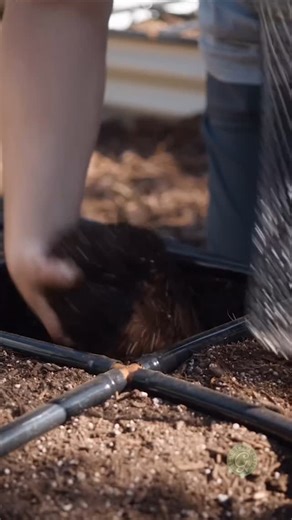 Garden Similar on Instagram: "Worm composting directly in the garden bed simplifies the process of vermicomposting. ⁣ ⁣ The worms live, work, reproduce, and make worm castings in the garden bed where they are needed. ⁣ ⁣ If you live in the low desert, now is the perfect time to add them to your beds.⁣ ⁣ ⁣ It’s been shown that worm castings in the garden help plants grow larger and stronger. They also get more and better-quality flowers, fruit, and vegetables. It can also increase a plant’s resil