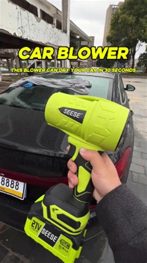 Leaf Blower Fun: My Wife is Right About My Excuses