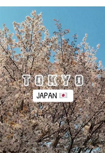 Exploring Tokyo: A Memorable Travel Experience