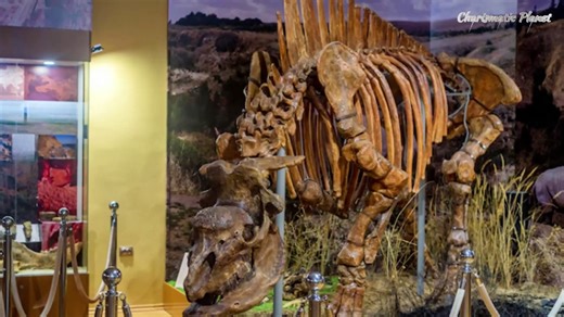 The Siberian Unicorn Facts