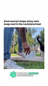 3.1M views · 203K reactions | Cute little stinkers 令 | Animal Antics | Facebook