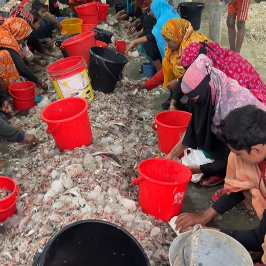 Tuhin on Instagram: "১৫ দিন সাগরে থেকে টলার ভরা মাছ নিয়ে মাটিতে পাড়া দিয়েছে | They stayed at sea for 15 days and brought buckets full of fish ashore #১৫দিনসাগরে #মাছধরা #জেলেজীবন #সমুদ্রযাত্রা #মাছভর্তি #উপকূলজীবন #গ্রামবাংলা #পরিশ্রমেরফল #সমুদ্রজীবন #মাছেরবাজার #দেশিজীবন #কঠোরপরিশ্রম #জেলেরকাজ #বাংলাদেশসমুদ্র #জীবনসংগ্রাম #FishingTrip #15DaysAtSea #FishermenLife #SeaJourney #FreshCatch #BucketOfFish #CoastalLife #HardWork #SeaLife #FishMarket #FishingLife #OceanHarvest #ReturnToShore #DailyCatc
