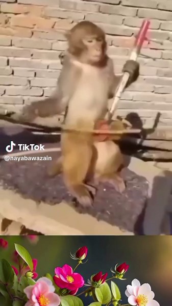 نایاب آواذیں on TikTok