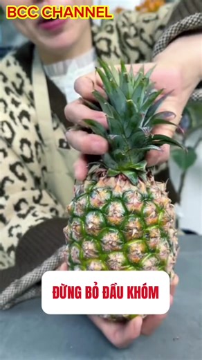 #Rubysky #meovat #haihuoc