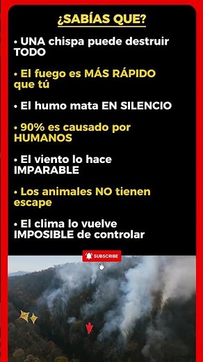 Datos de Incendios Forestales que NO puedes ignorar 🔥🌲