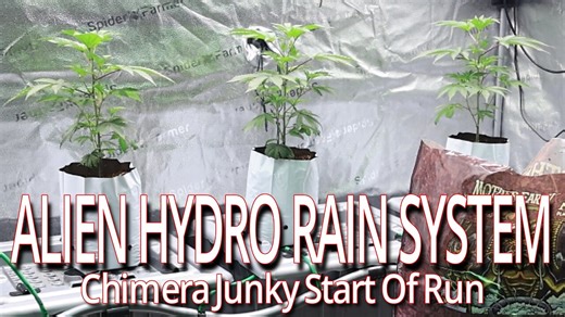 Chimera Junky Start Of Run In The Alien Hydro RAIN System