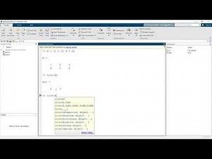 MATLAB vector and matrix dimensioning