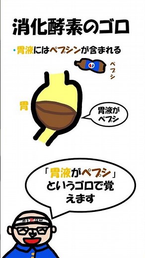 消化酵素の覚え方#理学療法士国家試験 #作業療法士国家試験 #生理学
