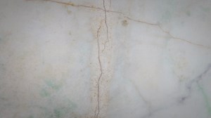 Modeling | Fashion Week Online®