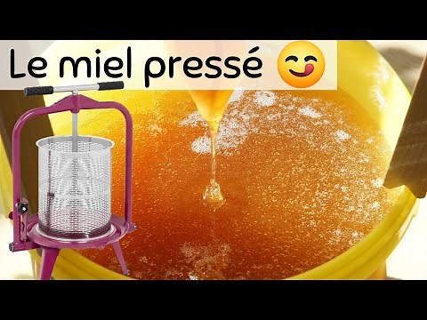 Comment on fait du miel PRESSÉ ? 🍯