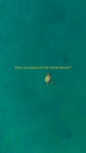 🐢❤️‍🩹 | Laura León