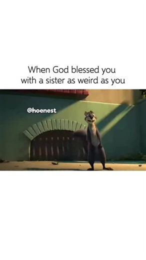 Hoenest on Instagram: "🎬 Fact: The Nut Job 2: Nutty by Nature (2017) This energetic celebration between Surly (Will Arnett) and Buddy from the sequel perfectly captures the chaotic “partner-in-crime” energy that turned this duo into the heart of the franchise. Interestingly, the character of Buddy the silent rat was designed to be the ultimate comedic “straight man” to Surly’s sarcastic and loud personality. Even though Buddy doesn’t have a single line of dialogue, the animators used intensive 