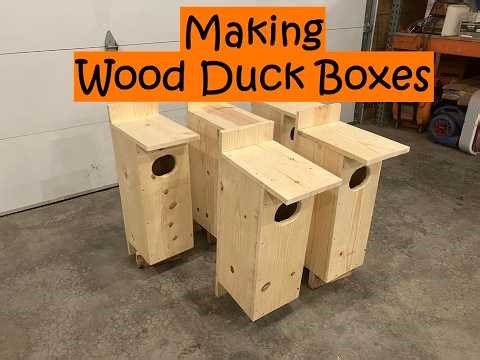 Wood Duck Box