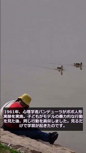 【心理学】観察学習とは？知らないと損する心理効果【ボボ人形実験】#Shorts