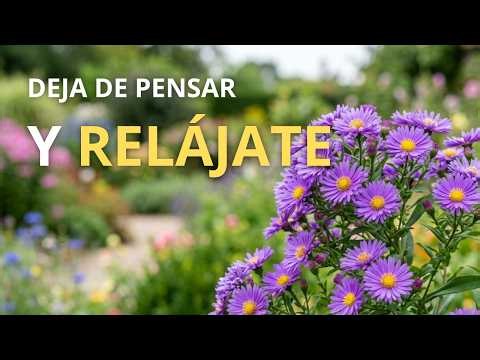 DEJA DE PENSAR Y RELÁJATE: Música para Calmar el Estrés y la ansiedad 🌿 Instrumental suave 🌿 Paz