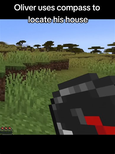 true astrophysicist moment #aboutoliver #blindplaythrough #minecraft #diorite #cryingobsidisn