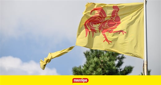 Le wallon, un caméléon des identités: "Il se sent Belge à 90%, wallon à 75%, de sa localité à 75%"