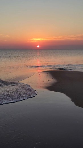 As the sun slowly rises, so does the serenity of the morning. The sky transforms into a canvas of pastel hues, inviting all to bask in its beauty. Let the gentle waves wash over you as you immerse yourself in the tranquility of this Ocean Sunrise Studio moment. Allow the beauty of dawn to fill your heart with peace and inspiration. 11/17/25 ☀️🌊💛 #8K #Sunrise #OceanSunriseStudio #NaturalBeauty #MorningMeditation | Todd Sanders' Ocean Sunrise Studio