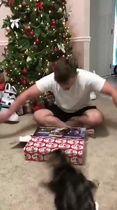 3.9K views · 38 reactions | Hey Kitty Kitty | GadgetGuidebook | Facebook