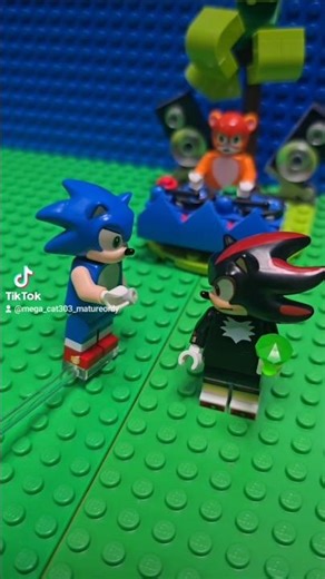 Tik Tok: Shadow the Hedgehog is What He Eats