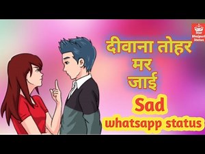 Chimpoo Simpoo Fake World Tour