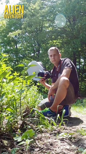 Weevil weevil. #macro #macrophotography #makrofotografia #beetles #raw_insects #raw_macro #insects #insect #macro_highlight #macro_royals #closeup #macro_brilliance #macro_perfection #przyroda #naturephotography #natureperfection #insect_of_our_world #ladybug | Alien Inventory